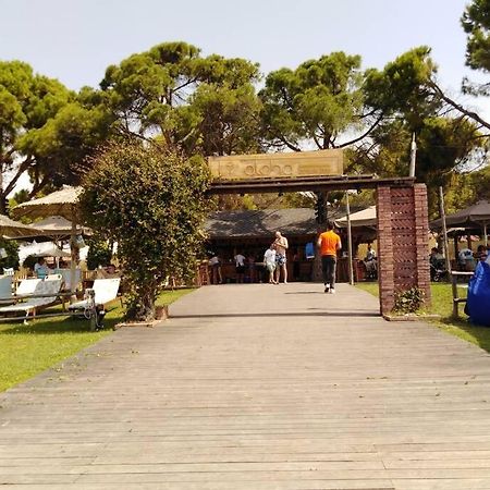 Villa Viktoria Halkidiki Nea Silata Exterior photo