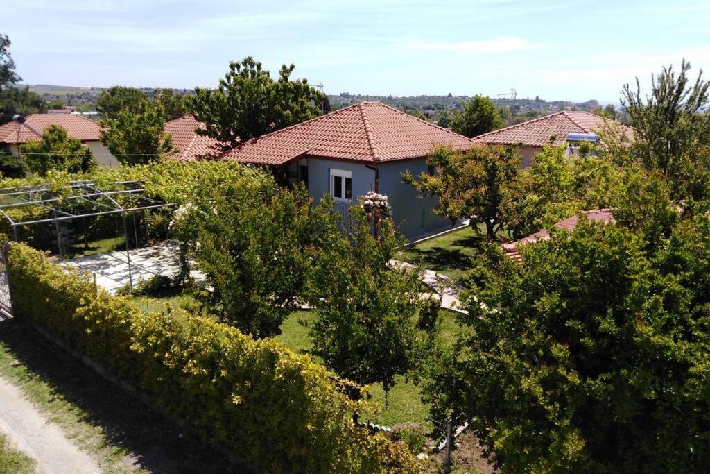 Villa Viktoria Halkidiki Nea Silata Exterior photo