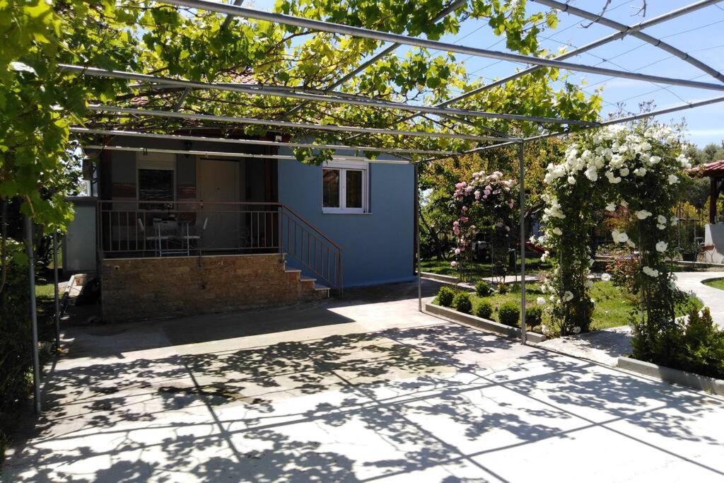 Villa Viktoria Halkidiki Nea Silata Exterior photo