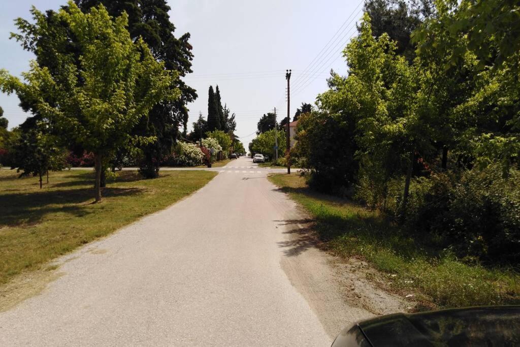 Villa Viktoria Halkidiki Nea Silata Exterior photo