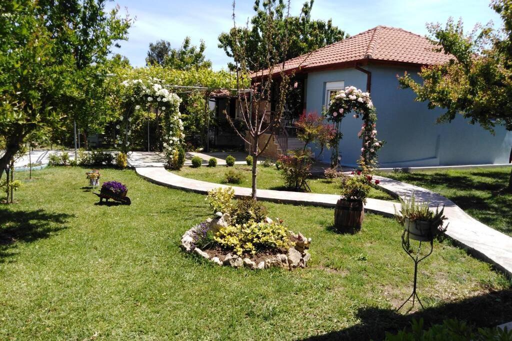 Villa Viktoria Halkidiki Nea Silata Exterior photo