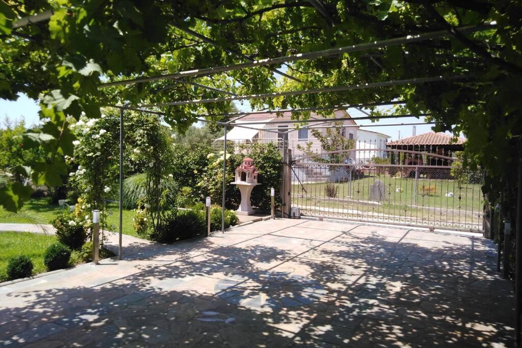Villa Viktoria Halkidiki Nea Silata Exterior photo